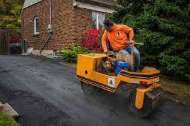 Best Driveway Border and Edging  in Elmo, TX